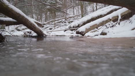 Fließendes-Flusswasser-Mit-Umgestürzten-Bäumen-Im-Wald-An-Einem-Schönen-Wintertag