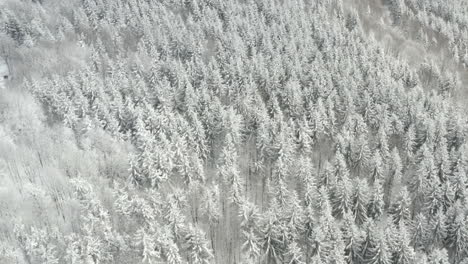 Luftkreisschwenk-über-Schneebedeckte-Berge-Mit-Kiefernwald-Und-Häusern,-Kohutka