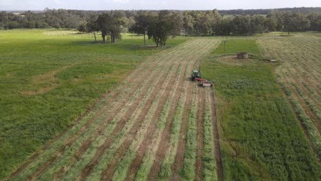 Luftüberführung,-Die-Zeigt,-Wie-Ein-Traktor-Gras-Auf-Einem-Landwirtschaftlichen-Feld-In-Margaret-River,-Westaustralien,-Schneidet