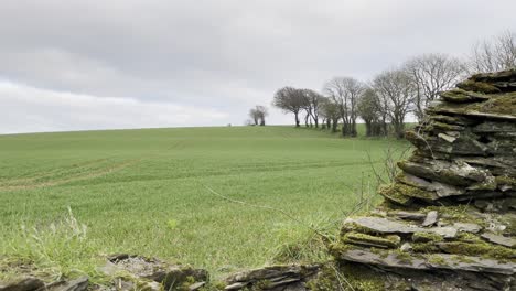 Imágenes-Estáticas-Sobre-Muro-De-Piedra-En-Un-Campo-Verde-Rural-En-Primavera-En-Irlanda