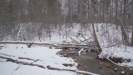 Creek-in-a-Forest-with-Falling-Snow-and-Fallen-Trees-on-a-River