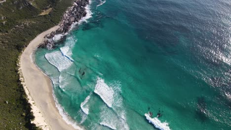 Aerial-flight-top-down-view-idyllic-empty-beach-turquoise-water-and-white-sand-Paradise