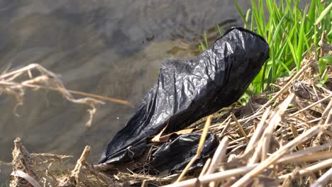 Polyethylene-bag-stuck-on-the-bank-of-Yangjaecheon-Stream-river,-Seoul,-South-Korea---high-angle,-static-shot