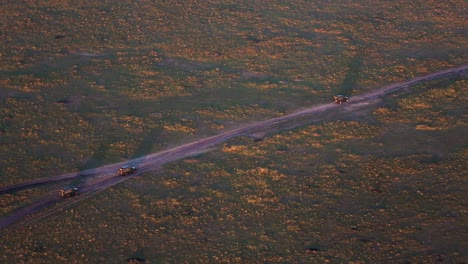 Luftdrohne-Weitwinkelaufnahme-Von-4x4-Safari-Jeeps,-Die-Während-Des-Sonnenaufgangs-Durch-Weite-Wiesen-In-Kenia,-Afrika-Fahren