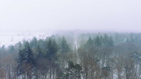 Majestic-aerial-drone-shot,-flying-over-forest-treetops,-during-blizzard,-real-time-shot
