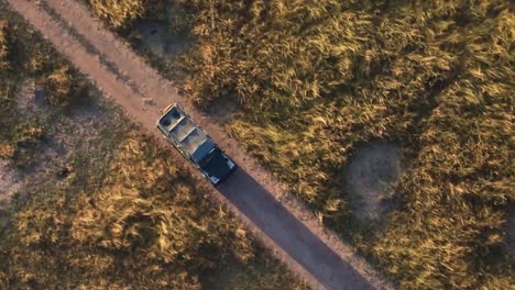 Aerial-Drone-Top-Down-Shot-of-4x4-Safari-Jeep-Driving-Through-Vast-Grassland-in-Kenya,-Africa-during-Sunrise