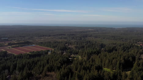 Panoramic-View-Of-Forest-And-Cranberry-Bogs-In-Port-Orford,-Oregon,-drone-shot