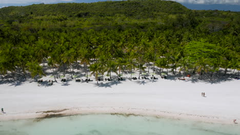Aerial-tilting-down-showing-palm-trees-on-private-beach-of-Bohol-Beach-Club,-Panglao-Island