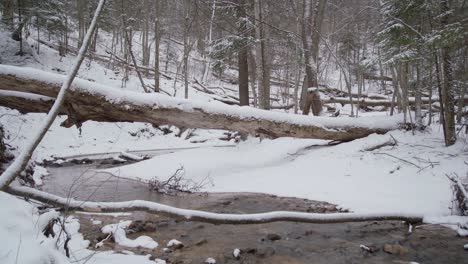 Flowing-River-Through-Shallow-Creek-in-Winter-in-Deep-Forest