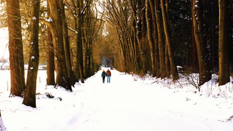 Couple-Walking-On-Snowy-Trail-Through-Tall-Forest-Trees-In-Winter