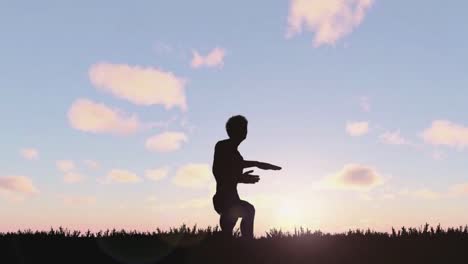 Silhouette-of-active-man-practicing-tai-chi-gymnastic-on-the-meadow-at-sunset