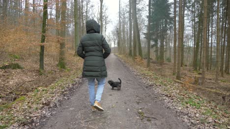 Adorable-puppy-dog-walking-with-stylish-woman-through-forest-on-dirt-road-during-winter-in-slow-motion-in-Stuttgart,-Germany