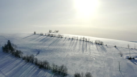 Snowy-hillside-with-trees-in-a-winter-countryside-in-Morava,Czechia