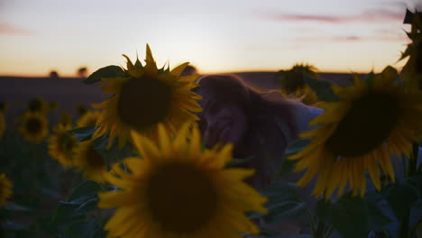 Schöne-Positive-Emotion-Der-Sonnenblume,-Die-Von-Einem-Jungen-Mädchen-Bei-Sonnenuntergang-4k-Geküsst-Wird