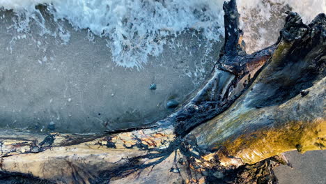 Waves-Crashing-Over-Driftwood-On-The-Shore---high-angle,-close-up