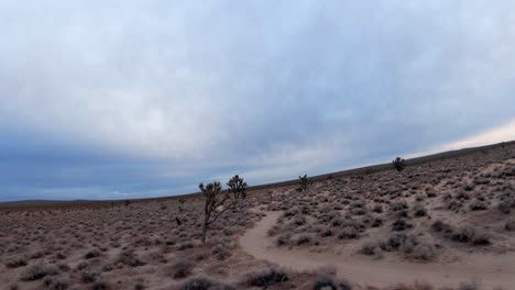 Fliegen-Entlang-Eines-Pfades-In-Der-Mojave-Wüste-Und-Durch-Joshua-Bäume