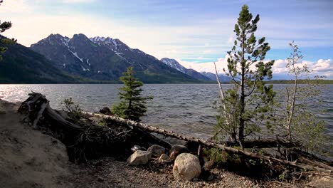 Lake-shore-at-Grand-Teton-National-Park,-Wyoming