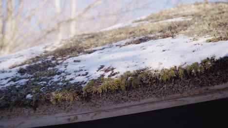 50-FPS-Drops-Falling-Down-From-Thatch-Roof-on-a-Bright-Sunny-Day-with-Melting-Snow
