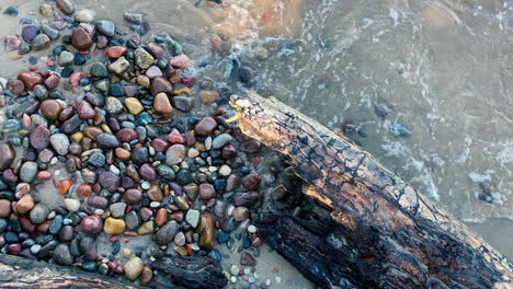 Top-view-Roten-peace-of-stump-on-colorful-stony-baltic-sea-beach,-ground-multicolor-stones-on-the-sand