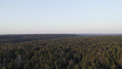 AERIAL:-Hills-of-Forest-with-Clear-Blue-Sky-on-a-Lvoely-Evening