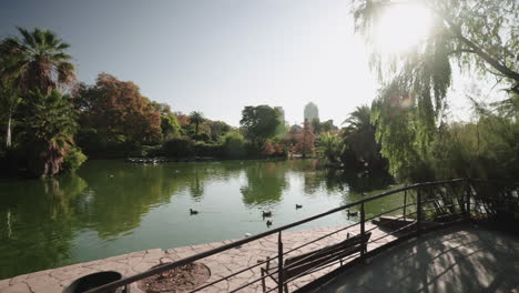 Pleasant-day-for-a-walk-at-Ciutadella-park-pond-in-Barcelona-Spain