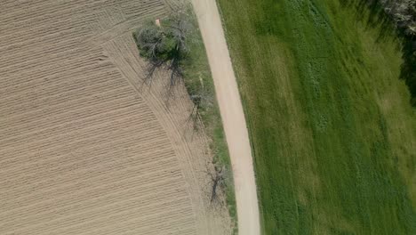 Aerial-birds-eye-flying-over-dirt-road-in-countryside-bordering-field-after-harvest