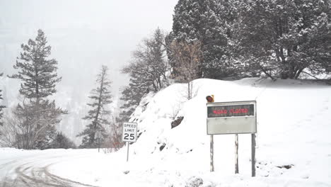 Geschlossenes-Eisiges-Verschneites-Straßenschild-In-Ländlicher-Amerikanischer-Landschaft-In-Der-Kalten-Wintersaison