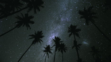 Night-sky-Milkyway-star-time-lapse-with-silhouette-palm-trees---Magellanic-cloud