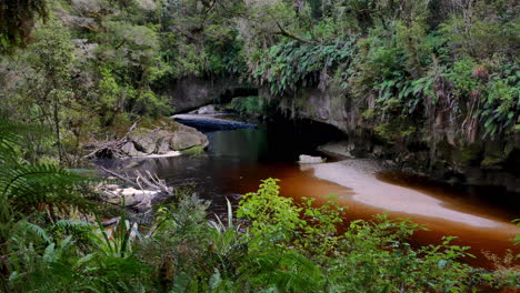 Beautiful-nature-footage-of-calm-brown-stream-surrounded-by-green-plants-and-trees-in-rainforest-of-New-Zealand