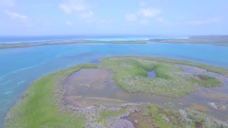 Aerial-shot-of-a-mangrove-coast-in-the-Venezuelan-blue-Caribbean-Sea
