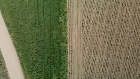 Aerial-birds-eye-over-field-partly-with-rapeseed-and-partly-after-harvest