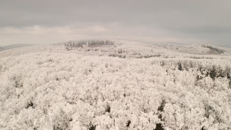 4K-aerial-video-footage-with-a-drone-flying-above-a-frozen-forest-almost-touching-the-treetops