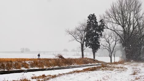 A-Man-Walking-His-Dogs-By-a-Rail-Road-Track-in-a-Snow-Storm