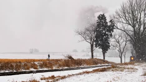 A-Man-Walking-His-Dogs-By-a-Rail-Road-Track-as-a-Steam-Engine-Approaches-in-a-Snow-Storm