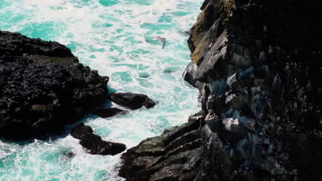 Seagulls-Flying-Over-Sea-With-Breaking-Waves-Through-Basalt-Columns-At-Shore-Of-West-Iceland