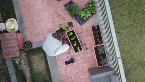 Aerial-view-of-caucasian-girl-doing-gardening-at-home-in-her-leisure