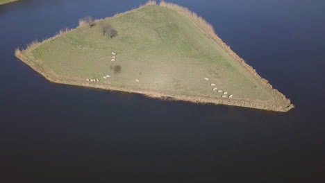 Vista-Aérea-De-Drones-De-La-Pequeña-Isla-Fortaleza-Con-Algunas-Ovejas-En-Heusden,-Noord-Brabant,-Países-Bajos