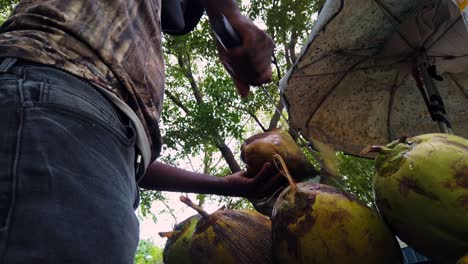 Man-Peeling-Kokosnusswasser,-Das-Erfrischendste-100%-Natürliche,-Energetisierende-Und-Feuchtigkeitsspendende-Getränk-Der-Karibik-Und-Der-Welt