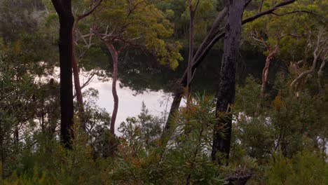Vegetationsreflexion-Auf-Transparentem-Wasser-Des-Blauen-Sees-Im-Nationalpark-Naree-Budjong-Djara,-North-Stradbroke-Island,-Qld,-Australien