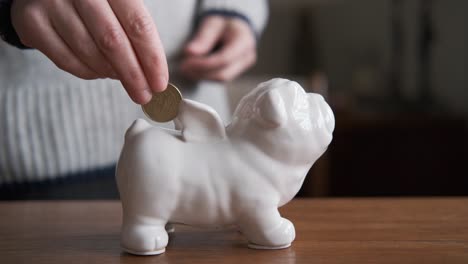 Hand-Wirft-Münzen-In-Hundeförmige-Sparbüchse