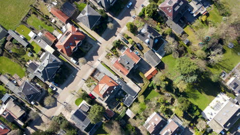 Top-down-aerial-of-beautiful-green-suburban-neighborhood