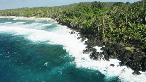 Turquoise-water-and-white-waves-crushing-over-rocky-coast,-palm-trees-above