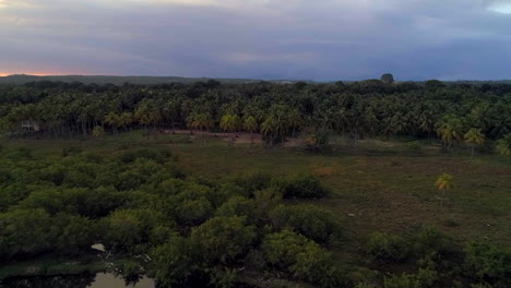 Backward,-drone-shot---Aerial-view-around-mangrove-trees-on-the-coast-of-Los-Cuadritos-beach,-in-San-Cristobal