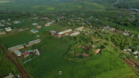 Aerial-view-of-houses-and-farm,-in-rural-Kenya,-Africa---tracking,-drone-shot