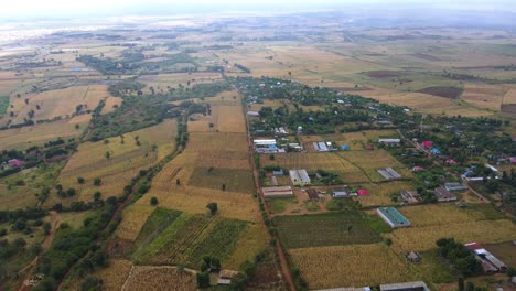 Aerial-view-of-houses-and-farmlands,-cloudy-day-in-Kenya---descending-drone-shot