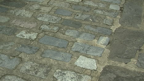 A-pathway-of-cobblestones-and-flagstones