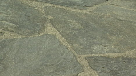 Close-up-of-a-flagstone-path