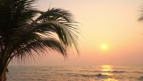 Silhouettes-of-tropical-trees,-golden-hour-sunlight-above-caribbean-sea-skyline,-magical-exotic-vacation-scenery