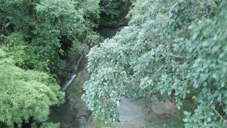 Craig-Hall-Wasserfall-Aufsteigende-Drohnenansicht-Auf-Der-Karibischen-Insel-Tobago