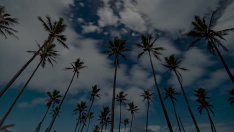 Time-lapse-of-moonlit-cloudscape-at-night,-full-moon-sky-over-tall-palm-trees
